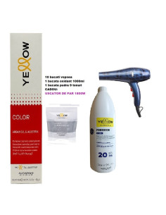 Oferta 10 Vopsea de par Yellow cu Uscator de par