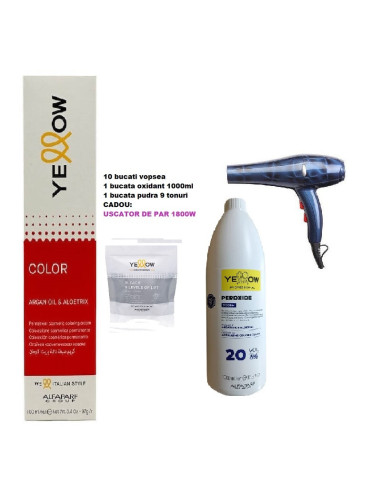 Oferta 10 Vopsea de par Yellow cu Uscator de par