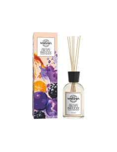 Odorizant Camera Fruty breeze 100ml